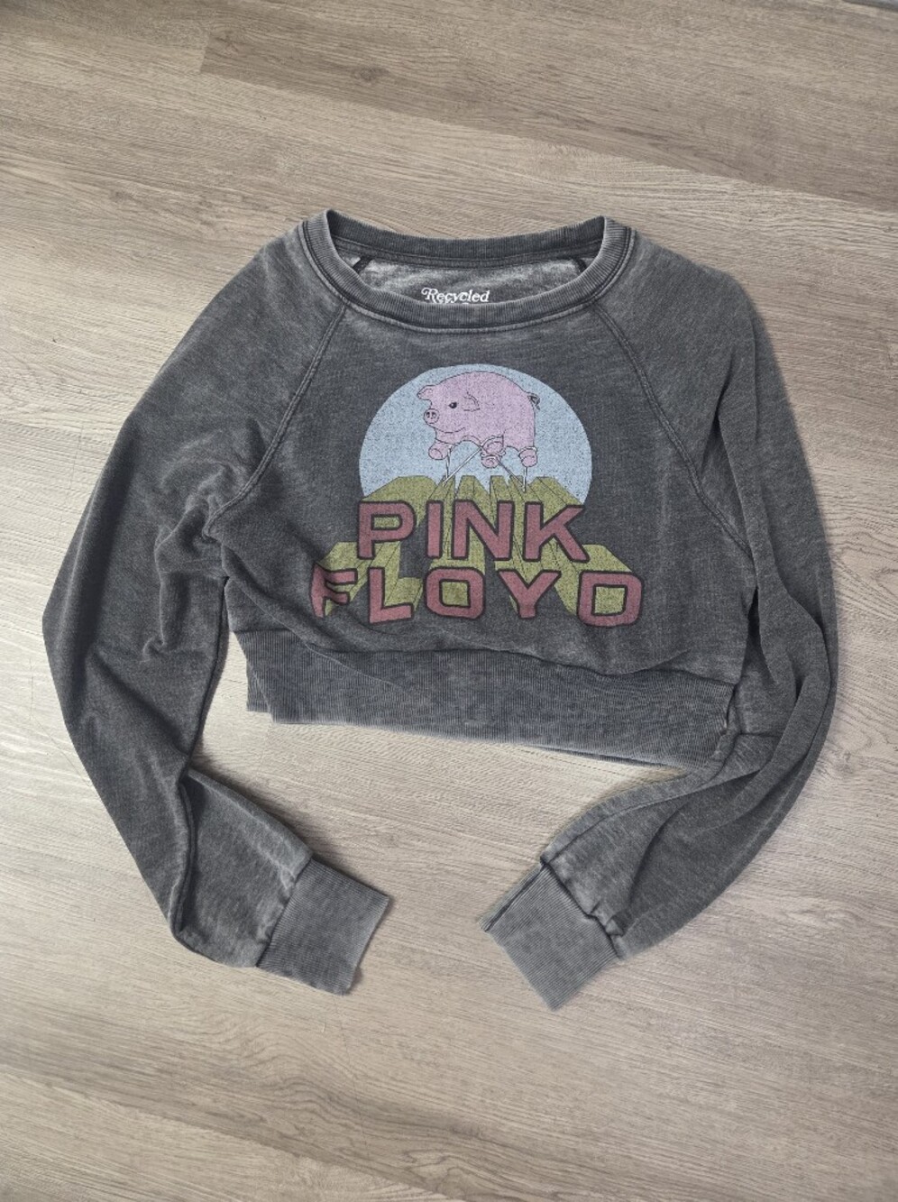 Recycled Karma Pink Floyd Cropped Womens Sweatshirt - Charcoal